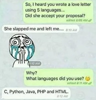 Progammer love letter